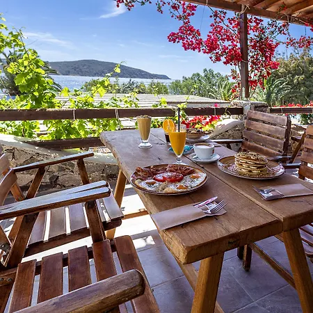 Vassilia On The Serifos Penzion