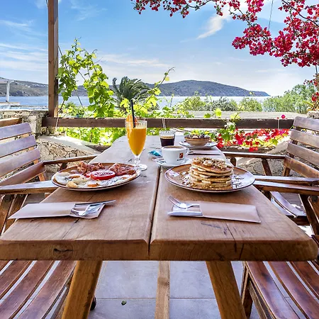 Πανσιόν Vassilia On The Serifos 4*